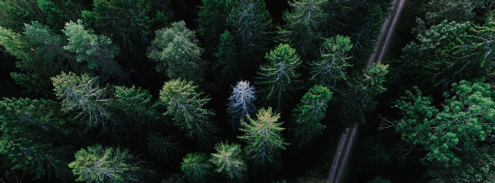 Jiangsu Xiangyi Tekstil Teknolojisi (Grup) Co., Ltd.